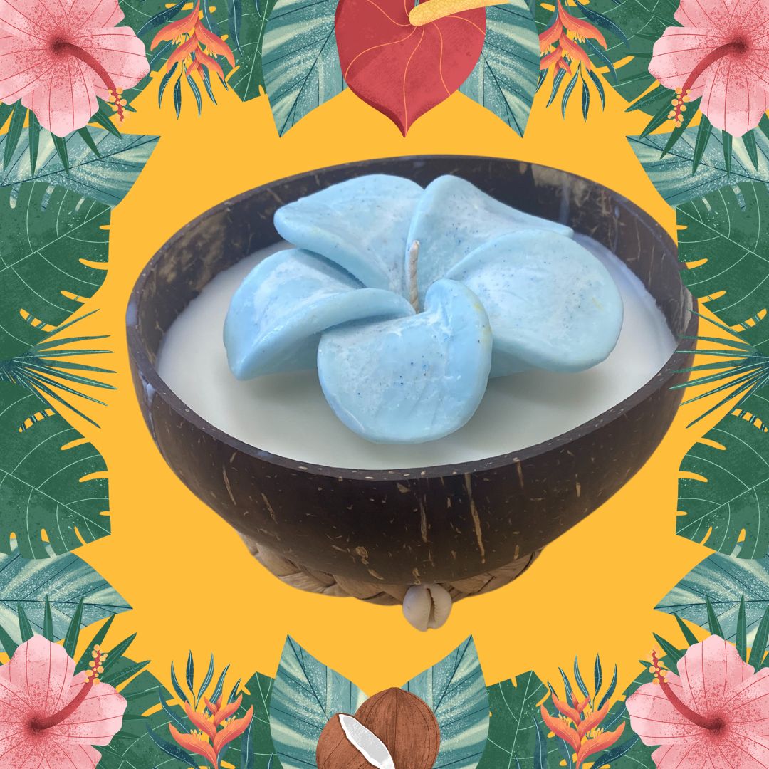 Frangipani & Coconut Shell Candle Set (Blue in white) - Coconut Scented