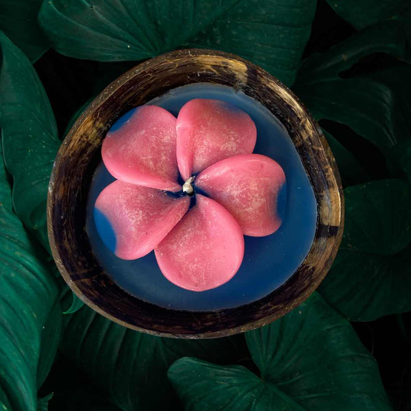 Frangipani & Coconut Shell Candle Set- Blue/Pink - Vanilla Scented