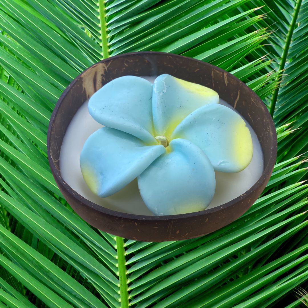 Frangipani & Coconut Shell Candle Set (Blue with yellow tips) - Coconut Scented