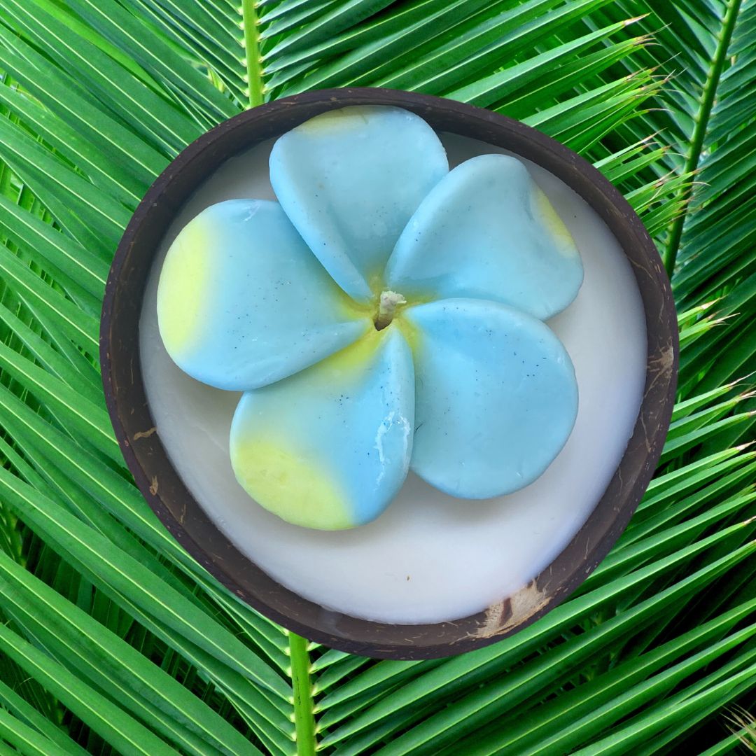 Frangipani & Coconut Shell Candle Set (Blue with yellow tips) - Coconut Scented