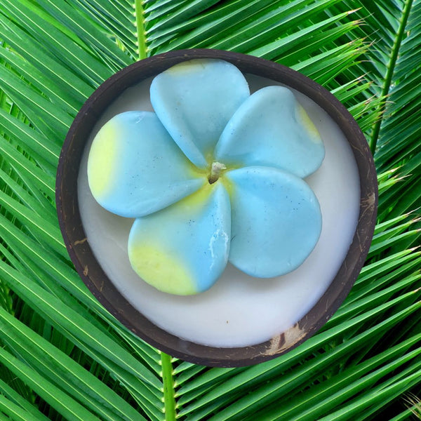 Frangipani & Coconut Shell Candle Set (Blue with yellow tips) - Coconut Scented