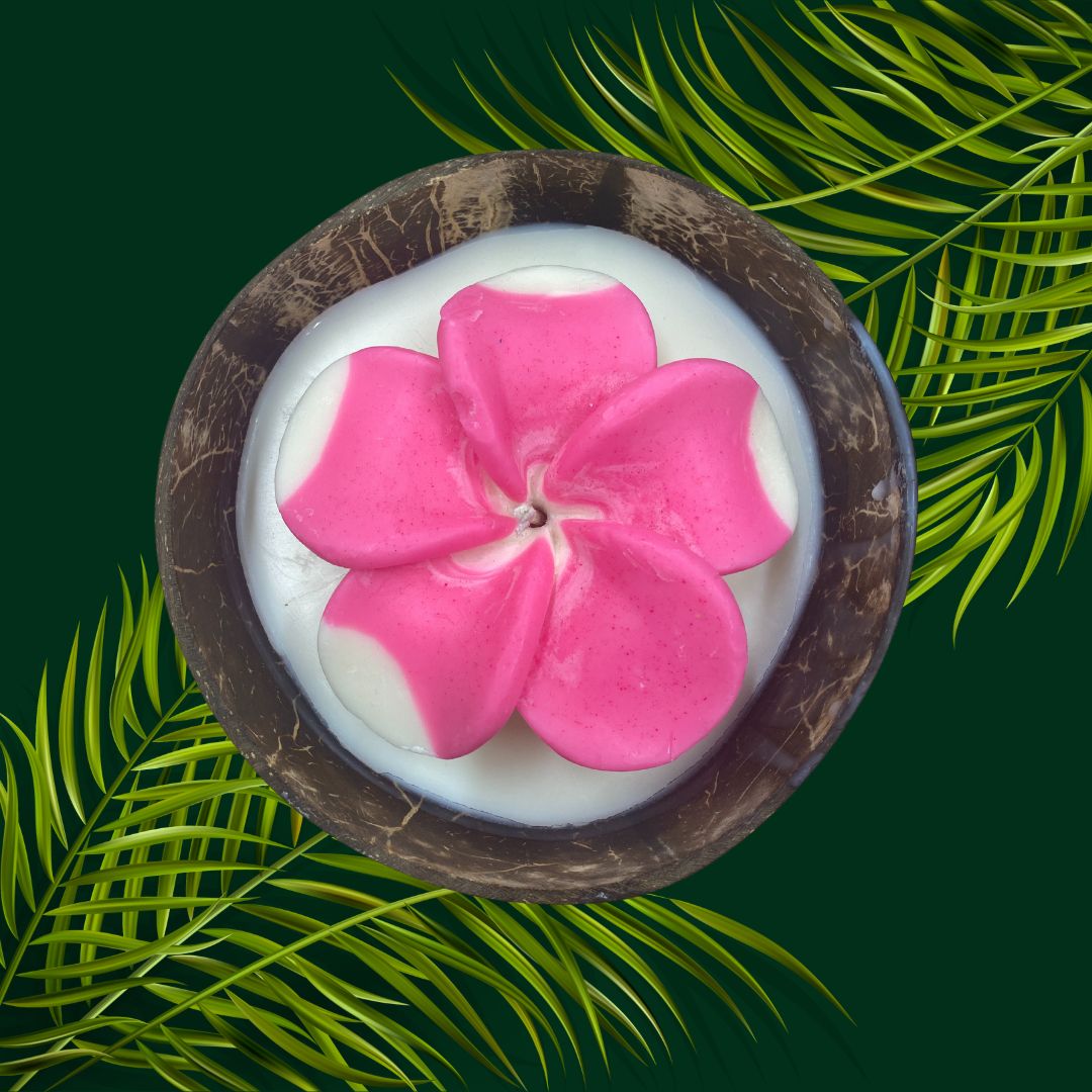 Frangipani & Coconut Shell Candle Set (Pink with white tips) - Coconut Scented