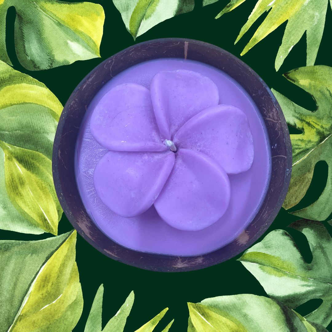 Frangipani & Coconut Shell Candle Set (Purple) - Coconut Scented