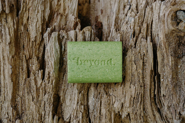 Lime & Coconut Shampoo Bars by Beyond Soap