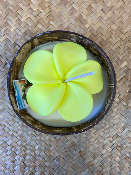 Frangipani & Coconut Shell Candle Set (Yellow in white) - Coconut Scented