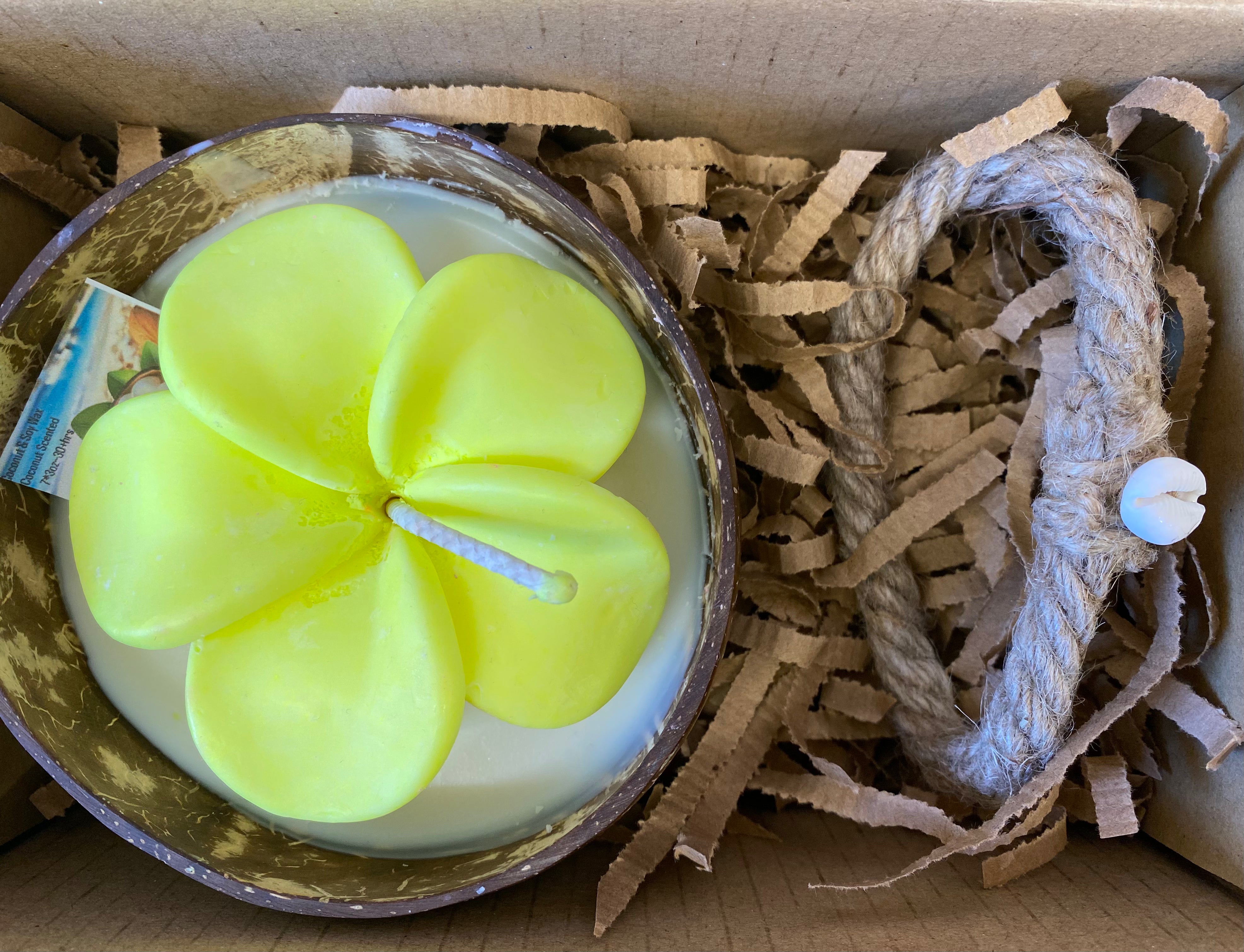 Frangipani & Coconut Shell Candle Set (Yellow in white) - Coconut Scented