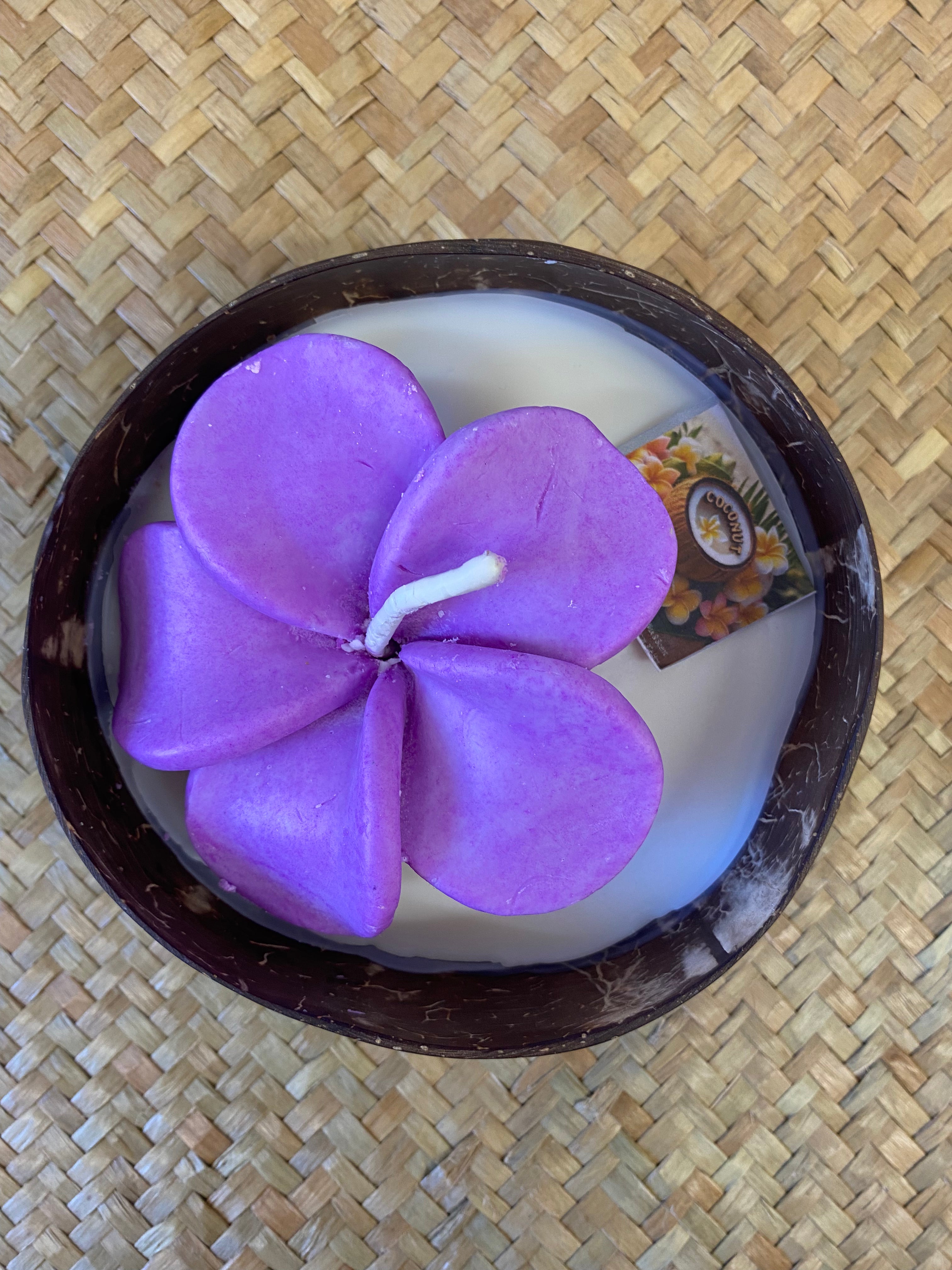 Frangipani & Coconut Shell Candle Set (Purple in white) - Coconut Scented