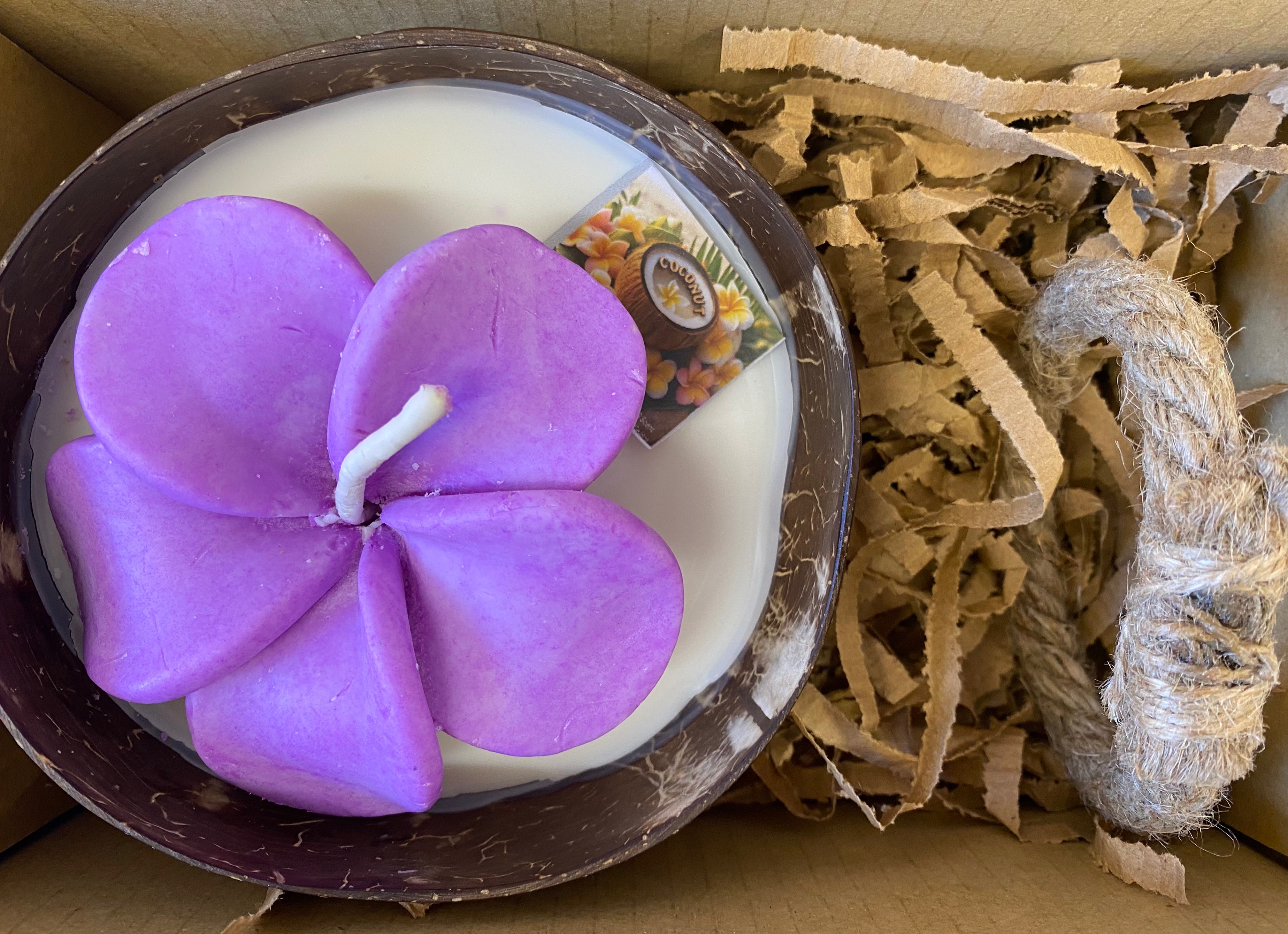 Frangipani & Coconut Shell Candle Set (Purple in white) - Coconut Scented