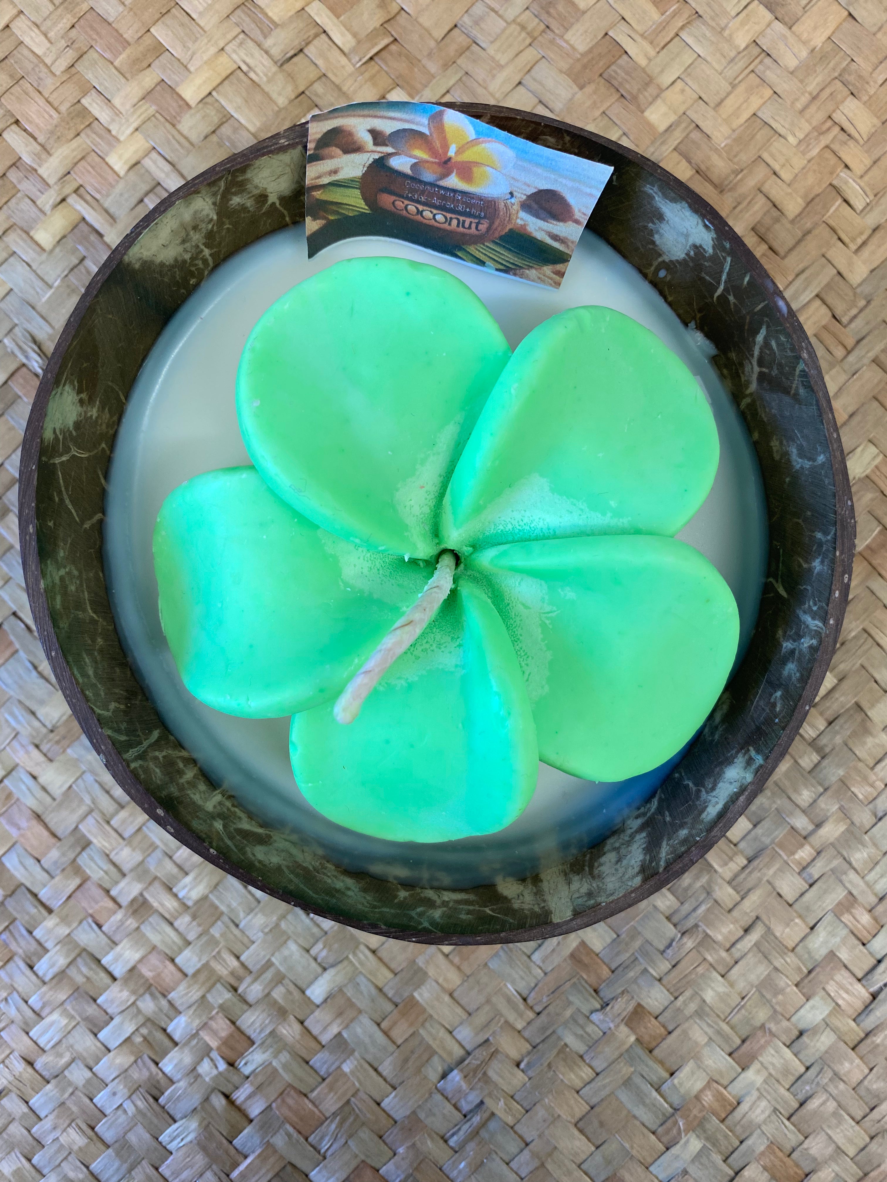 Frangipani & Coconut Shell Candle Set (Green in white) - Coconut Scented