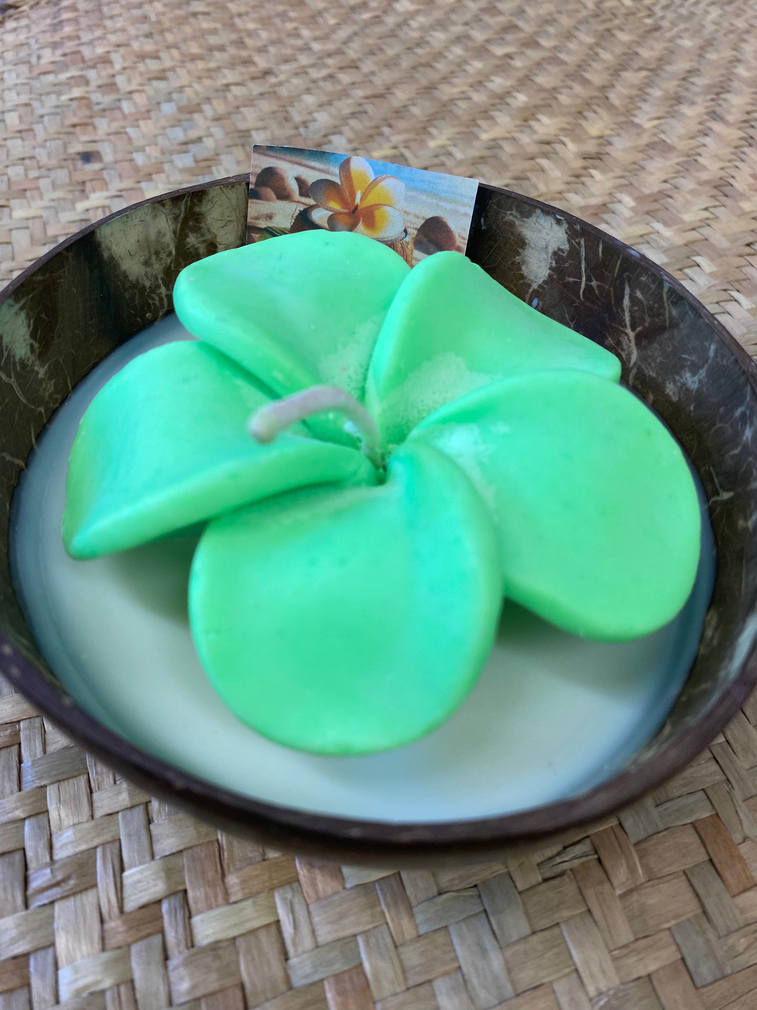 Frangipani & Coconut Shell Candle Set (Green in white) - Coconut Scented