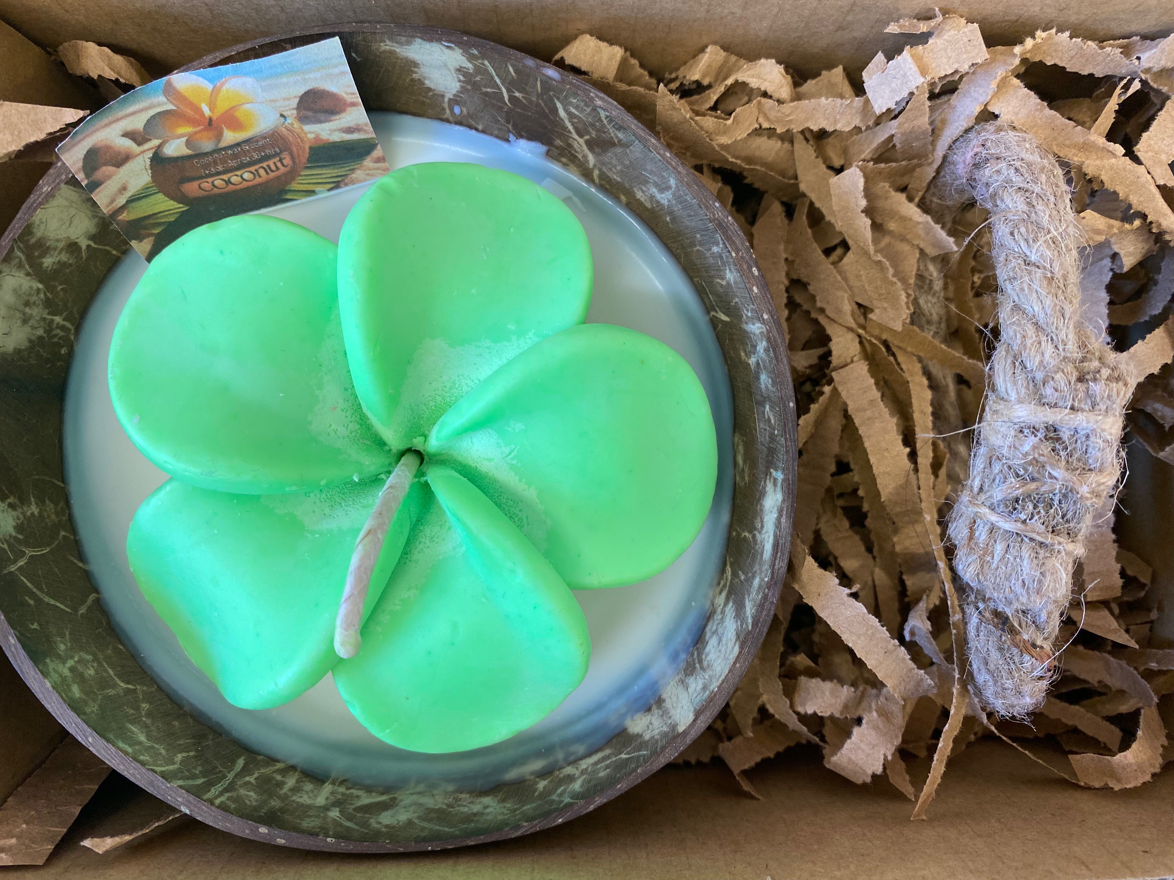 Frangipani & Coconut Shell Candle Set (Green in white) - Coconut Scented