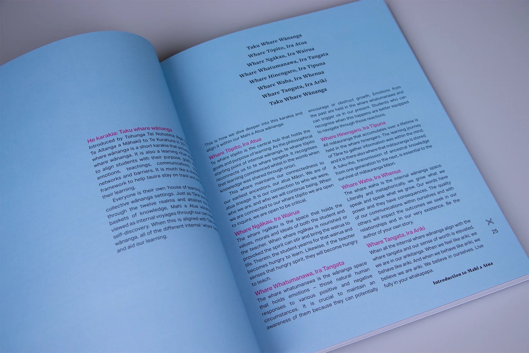 Mahi a Atua - Diana Kopua, Mark Kopua, Lisa Cherrington